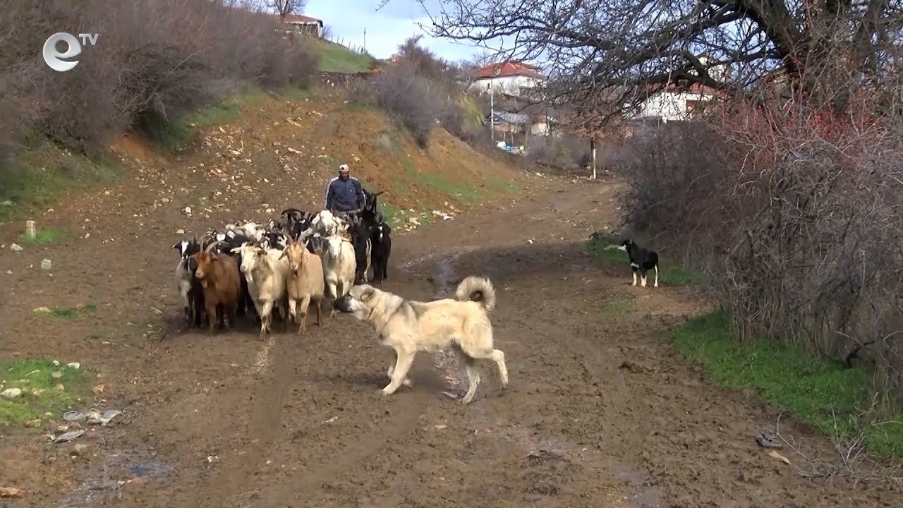Жители на Сърница подкрепят арестувания при мащабна полицейска акция Бейсим