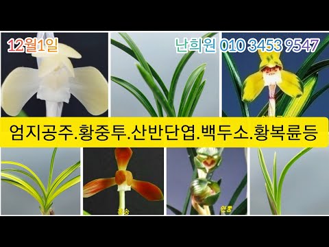 유튜브 썸네일