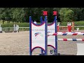 Flanelle de l’océan jument 11 ans