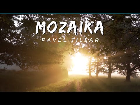 Pavel Tilšar - MOZAIKA (lyrics video)
