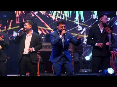 Denis Ramniceanu - Colaj manele vechi Beraria H 2025