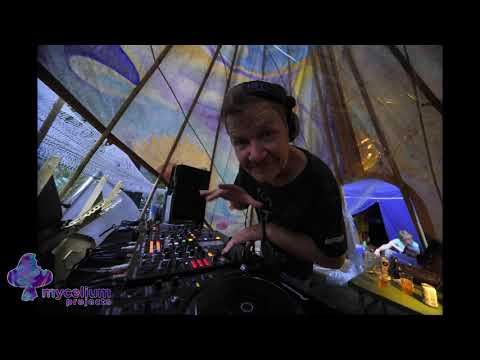 Koxbox Live @ Connection 2017 - Mycelium Recordings