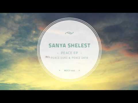 Sanya Shelest  - Peace Data (Original mix)