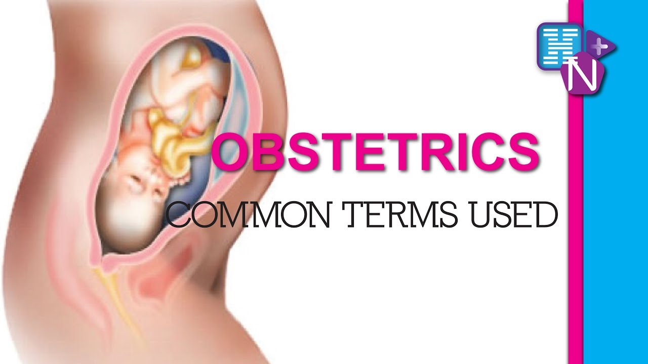 LEARN OBSTETRICS  | Common terms used and their definitions in statistics W.H.O.