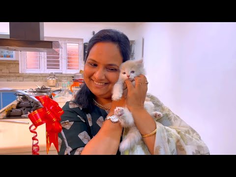 ShaSha's First Day😘Surprise Visit😍