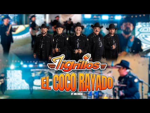 Los tigrillos - El coco rayado 
