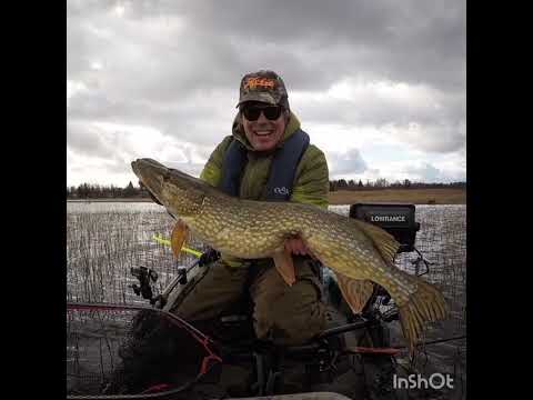 Markus Männistö: Haukiperhoista rakettitieteeseen.