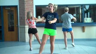 Stomp and Scream, For the Wildcat Team