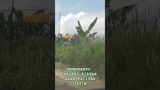 Download lagu Wonokarto Idah mp3