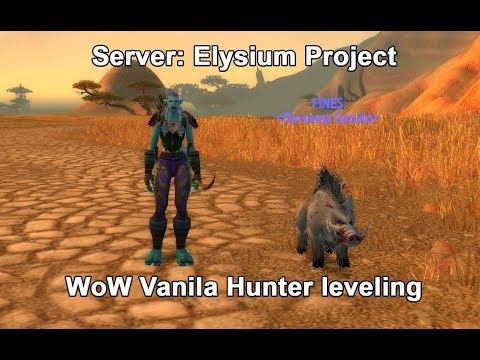 WoW Vanila Hunter PVP