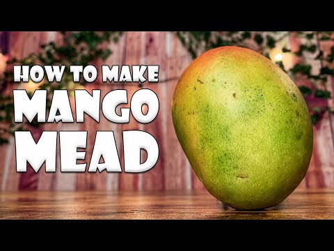 How to Make Mango Mead | Fruit + Honey + Yeast
