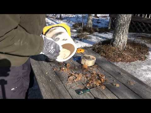 Keraamisen linnunpöntön puhdistus