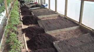 Greenhouse Raised Bed Preparation