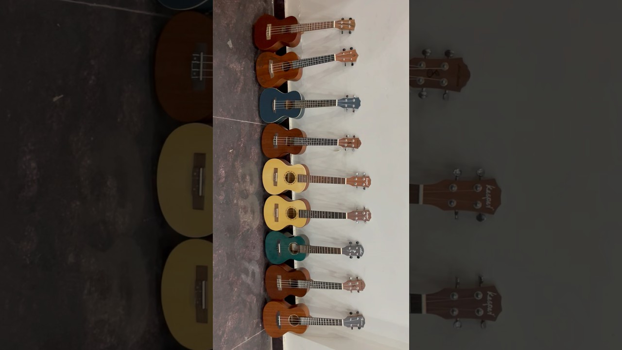 Ukuleles in multiple brands and colours.