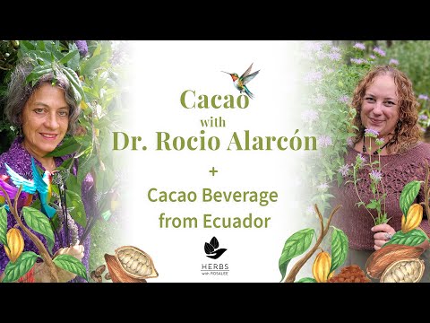 Cacao with Rocio Alarcon + Cacao Beverage from Ecuador