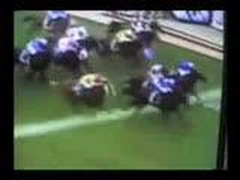 Rosehill 19th April 2008