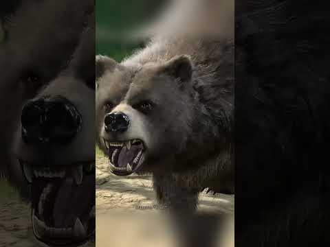 Why you should never free Halsin: Baldur's Gate 3