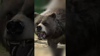 Why you should never free Halsin: Baldur's Gate 3