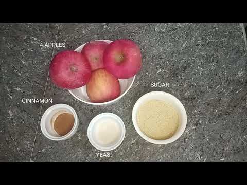 Fermentação de vinho de maçã PT em Gen. Bio | Alyn Grace