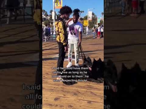 Man tries to steal my dogs bet he didn’t expect them to steal him