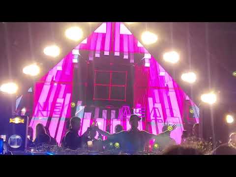 WhyNot? Neon Safari Pres. ANOTR en Trujillo - Peru - AMMO AVENUE