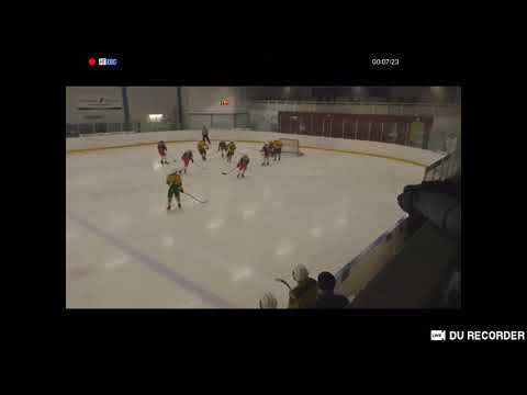 Tappara C2 AA 7.3.20 -ilves