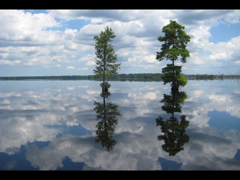 youtube embeded image