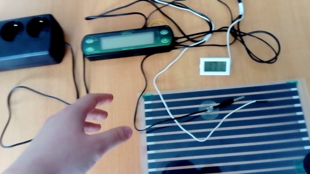 Comment installer un Thermostat digital sur un tapis Marque Trixie Zoomalia