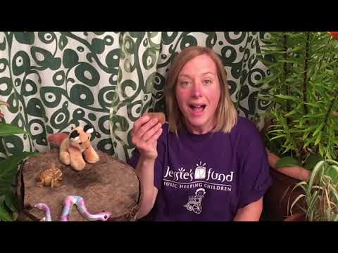 Jessie's Fund - Forest: a gentle exploration - interactive sensory music session