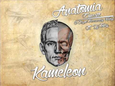 Anatomia- Kameleon ( Dj Tony )