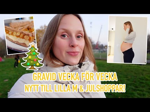 Gravid vecka 23 | Nytt till bebis, julshopping & orostankar... 🥺🤰🏽