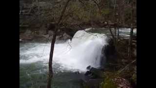 preview picture of video 'Horsepound Falls at Collins Gulf'