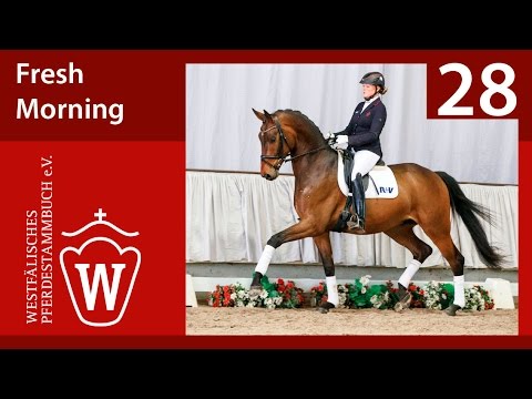 28 Fresh Morning Wallach v. Fürstenball - Beluga