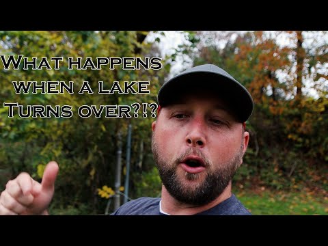 What happens when a lake TURNS OVER?!?