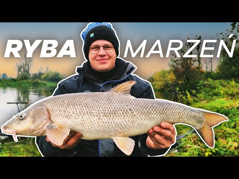 351 RYBA MARZEŃ! ODRA 😀
