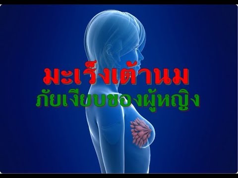 ราคาที่เพิ่มขึ้นหน้าอก วิธีการเพิ่มหน้าอกสไตล์