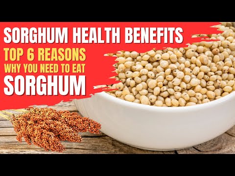 , title : 'Sorghum Benefits: 6 Impressive Health Benefits of Sorghum'