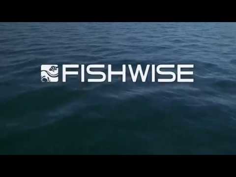 Introduction to Sustainable Seafood