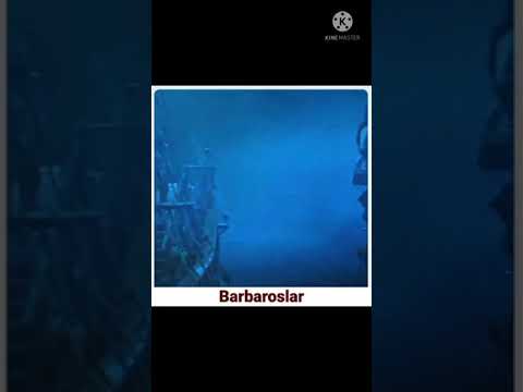 barbarasa 💯 Attitude level