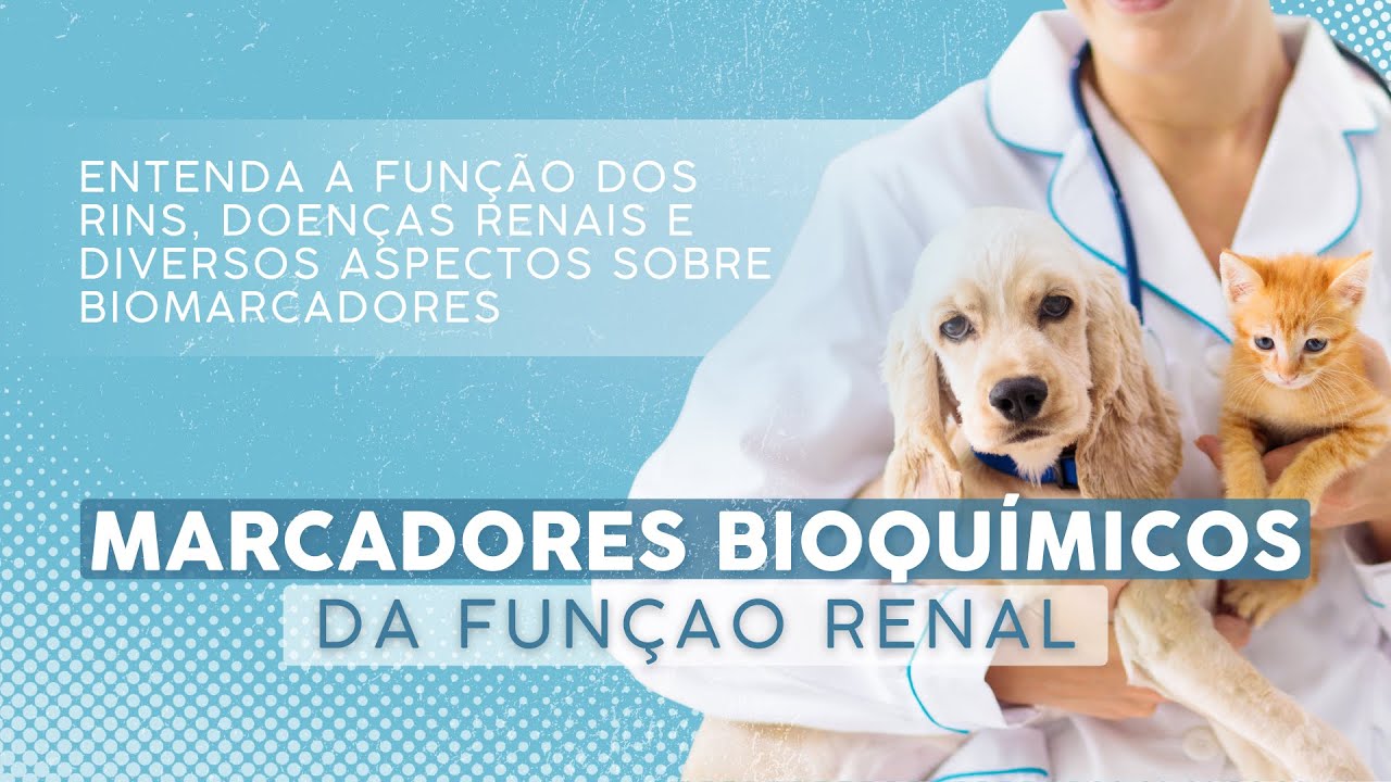 Grupo 03 - Biomarcadores da Função Renal, Doenças Relacionadas e Fisiologia dos Rins.