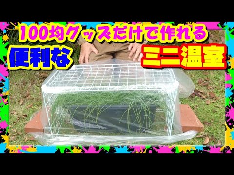 園芸 挿し木と苗のためのミニ加温温室の作成