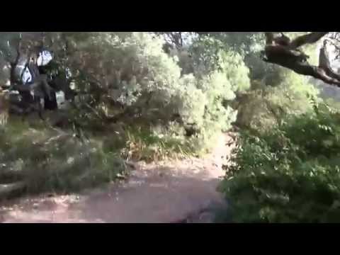 download lagu mp3 mp4 The Road Not Taken Metaphor, download mp3 The Road Not Taken Metaphor free download, download mp3 The Road Not Taken Metaphor