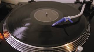 Survive - Wardenclyffe - vinyl