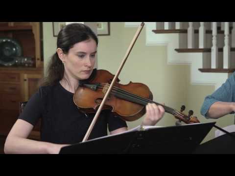 Lydian String Quartet plays Steven Snowden "Bird Catching From Above" (2016): III. Serpentine