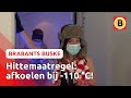 Buske hitteplan: ijs, water en nog meer ijs - Brabants Buske | Omroep Brabant
