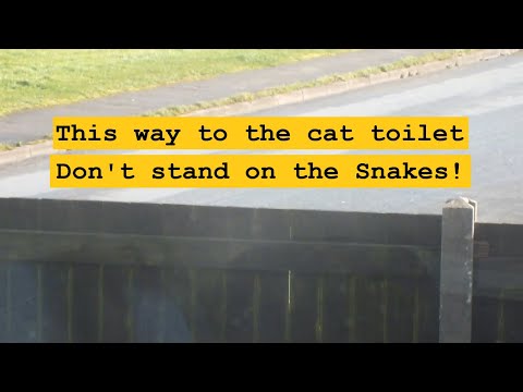 A garden cat deterrent that might just work, snakes! What works for you?