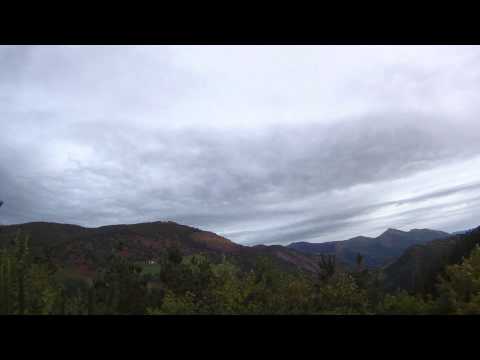 2012 02 Primera paloma de la temporada.