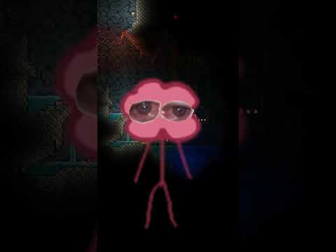 Terraria with no immunity frames!