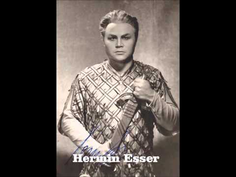 Hermin Esser