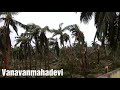 Kaja Cyclone Affected Village Vanavanmahadevi Mms